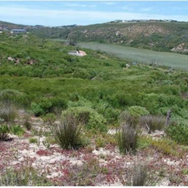 66 & 67 of Farm 443, Plettenberg Bay 