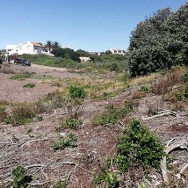 Unlawful clearance of more than 300 square metres of indigenous vegetation.