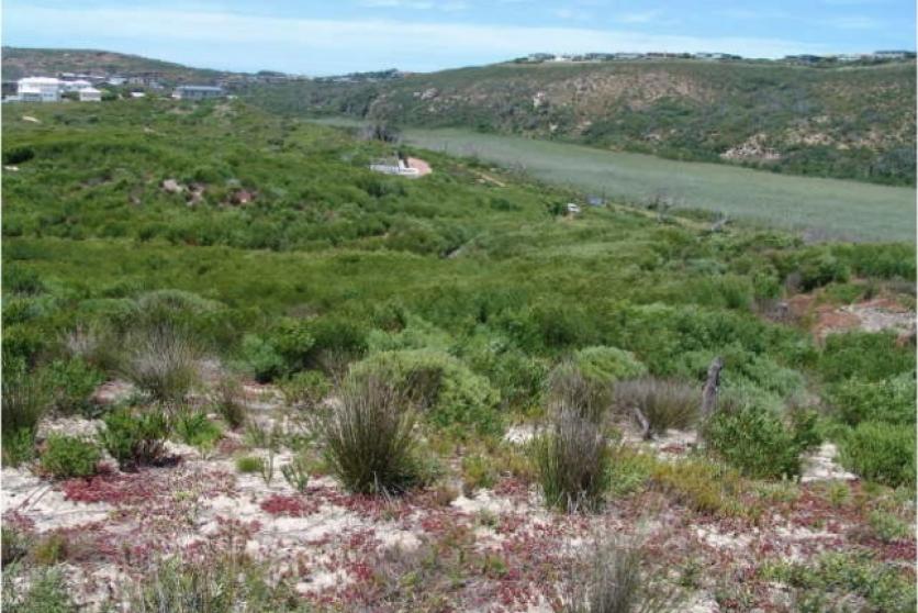 66 & 67 of Farm 443, Plettenberg Bay